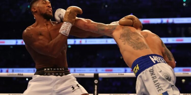 Усик пен Джошуа жекпе-жегінің бюджеті белгілі болды