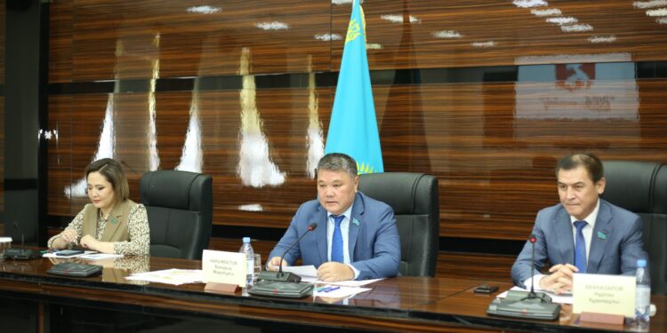 ШЫМКЕНТ: СЕНАТОРЛАР МӘСЛИХАТ ДЕПУТАТТАРЫМЕН КЕЗДЕСТІ