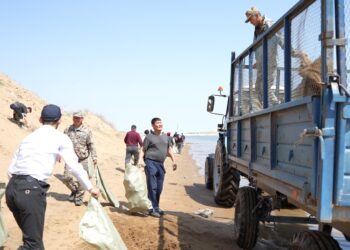 ЭКОАКЦИЯ АЯСЫНДА ШАРДАРАДА СУҚОЙМА ЖАҒАЛАУЫ ТАЗАРТЫЛДЫ