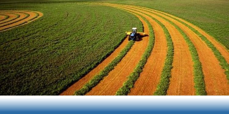 Ауылшаруашылығын субсидиялауда ақпараттық жүйе қызметіндегі кедергілер жойылды