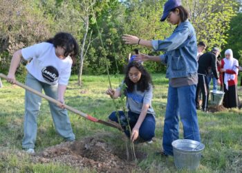 «ЖАСЫЛ АЙМАҚ» АПТАЛЫҒЫ:  ДЕНДРОСАЯБАҚҚА 50 — ге ЖУЫҚ АҒАШ ЕГІЛДІ