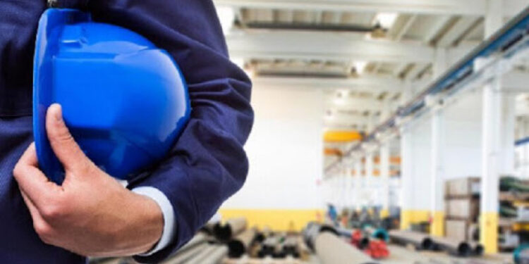 ТҮРКІСТАН: 2024 жылы 118,9 мың жаңа жұмыс орны ашылады