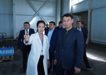 Түркістан: облыс әкімі Қазығұртта кәсіпкерлік саласын жандандыруды тапсырды