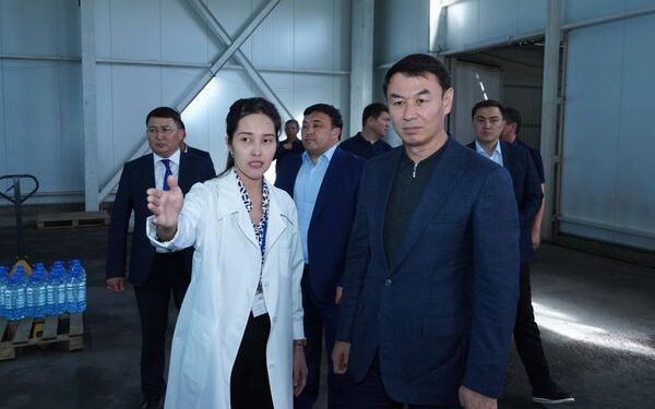 Түркістан: облыс әкімі Қазығұртта кәсіпкерлік саласын жандандыруды тапсырды