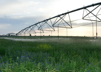 ТҮРКІСТАН: Ордабасыда 1300 гектарға су үнемдеу технологиясы ендіріледі