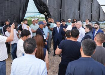 ҚАЗАҚСТАНДАҒЫ ЖЫЛЫЖАЙЛАР ЖАҚЫН АРАДА РЕСПУБЛИКАНЫҢ ҚИЯРҒА ДЕГЕН СҰРАНЫСЫН ТОЛЫҚ ӨТЕЙ АЛАДЫ