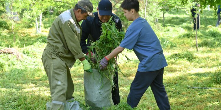 БЕЛСЕНДІ АРДАГЕРЛЕР «ТАЗА ҚАЗАҚСТАН» НАУҚАНЫНДА