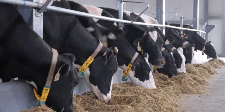 ТҮРКІСТАН ОБЛЫСЫ МАЛ ШАРУАШЫЛЫҒЫ МЕН ЕТ ЭКСПОРТЫНАН КӨШ БАСТАП ТҰР