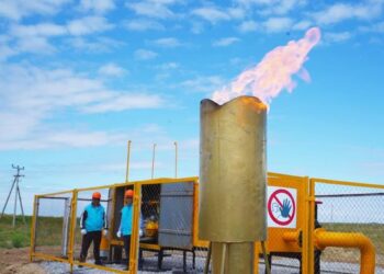 ТҮРКІСТАН ОБЛЫСЫНДА БИЫЛ 75 МЫҢ ТҰРҒЫН ГАЗБЕН ҚАМТЫЛАДЫ