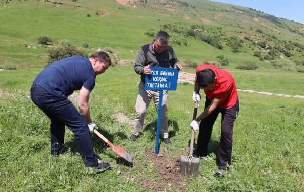 ТҮРКІСТАН: ТӨЛЕБИДЕ «ТАЗА ҚАЗАҚСТАН» АКЦИЯСЫ АЯСЫНДА ТАЗАЛЫҚ ШАРАСЫ ӨТТІ