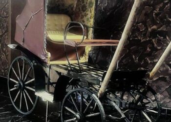 ТҮРКІСТАН: «ҰЛЫ ДАЛА ЕЛІ» ОРТАЛЫҒЫНДА ХІХ ҒАСЫР КӨЛІГІ БАР