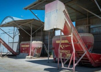 ТҮРКІСТАН: САЙРАМДА ТҮЙІРШІКТЕЛГЕН ЖЕМ ЖАСАЙТЫН КӘСІПОРЫННЫҢ ҚҰРЫЛЫСЫ ЖҮРГІЗІЛІП ЖАТЫР