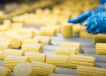 ТҮРКІСТАН: ШАРДАРАДА ЖҮГЕРІДЕН 26 ТҮРЛІ ӨНІМ ШЫҒАРАТЫН ЗАУЫТ ІСКЕ ҚОСЫЛАДЫ