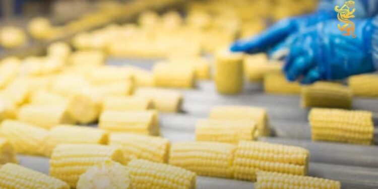 ТҮРКІСТАН: ШАРДАРАДА ЖҮГЕРІДЕН 26 ТҮРЛІ ӨНІМ ШЫҒАРАТЫН ЗАУЫТ ІСКЕ ҚОСЫЛАДЫ