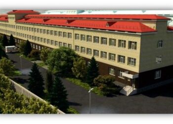 ТҮРКІСТАН ОБЛЫСЫНДА 50-ГЕ ЖУЫҚ МЕДИЦИНАЛЫҚ-САНИТАРЛЫҚ АЛҒАШҚЫ КӨМЕК НЫСАНЫ БОЙ КӨТЕРЕДІ