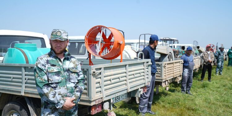 ТҮРКІСТАН ОБЛЫСЫНДА МАРОККО ШЕГІРТКЕСІНЕ ҚАРСЫ ҚОСЫМША ХИМИЯЛЫҚ ӨҢДЕУ ЖҰМЫСТАРЫ КҮШЕЙТІЛДІ