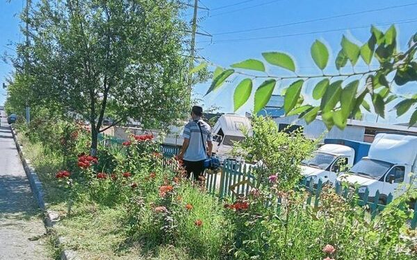 ТҮРКІСТАН: САРЫАҒАШ АУДАНЫНДА ТАЗАЛЫҚ ЖҰМЫСТАРЫ ТҰРАҚТЫ ЖҮРГІЗІЛУДЕ