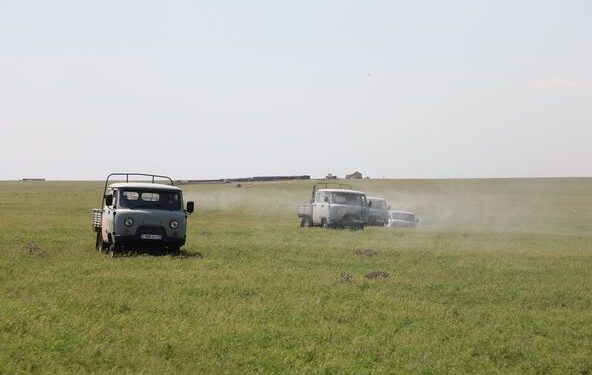 ТҮРКІСТАН: ШЕГІРТКЕГЕ ҚАРСЫ ҚОСЫМША ӨҢДЕУ ШАРАЛАРЫ НӘТИЖЕ БЕРДІ