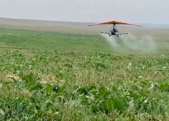 ТҮРКІСТАН ОБЛЫСЫНДА ҚОСЫМША 70 МЫҢ ГЕКТАРҒА ЖУЫҚ АУМАҚТА ХИМИЯЛЫҚ ӨҢДЕУ ЖҮРГІЗІЛДІ