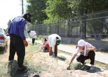 «ТАЗА ҚАЗАҚСТАН»: АКЦИЯСЫ АЯСЫНДА ТҮРКІСТАНДА 100-ШІ СЕНБІЛІК ӨТТІ