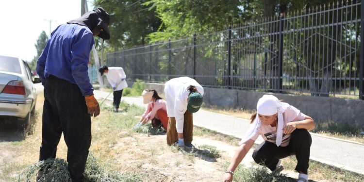 «ТАЗА ҚАЗАҚСТАН»: АКЦИЯСЫ АЯСЫНДА ТҮРКІСТАНДА 100-ШІ СЕНБІЛІК ӨТТІ