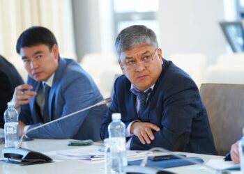 ТҮРКІСТАНДАҒЫ АРНАЙЫ ЭКОНОМИКАЛЫҚ ЖӘНЕ ИНДУСТРИАЛДЫ АЙМАҚТАРДЫҢ ЖҰМЫСЫ ЖАНДАНАДЫ