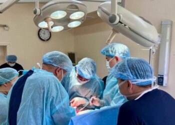 ТҮРКІСТАН: ТҮЛКІБАСТА ТҮРІК ПРОФЕССОРЫНЫҢ ҚАТЫСУЫМЕН БАЛАЛАР ОТАСЫНА ҚАТЫСТЫ ШЕБЕРЛІК САҒАТЫ ӨТТІ