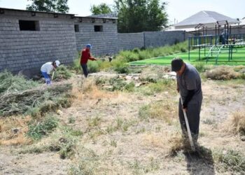 ТҮРКІСТАН ОБЛЫСЫНДА «ТАЗА ҚАЗАҚСТАН» АКЦИЯСЫ АЯСЫНДАҒЫ ЖҰМЫСТАР ЖҮЙЕЛЕНЕ ТҮСЕДІ