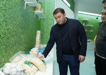 ТҮРКІСТАН: Қытайда сарымсақты терең өңдеу ісі бойынша келіссөздер жүргізілді