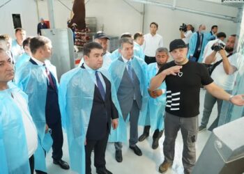 ТҮРКІСТАН ОБЛЫСЫНДА 5 МЫҢ БАСҚА АРНАЛҒАН ЗАМАНАУИ МАЛ БОРДАҚЫЛАУ КЕШЕНІ ЖӘНЕ ЕТ КОМБИНАТЫ ІСКЕ ҚОСЫЛДЫ