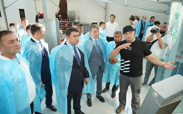 ТҮРКІСТАН ОБЛЫСЫНДА 5 МЫҢ БАСҚА АРНАЛҒАН ЗАМАНАУИ МАЛ БОРДАҚЫЛАУ КЕШЕНІ ЖӘНЕ ЕТ КОМБИНАТЫ ІСКЕ ҚОСЫЛДЫ