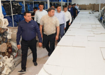 Түркістан облысында 130 млрд теңгеден астам инвестиция тартылған