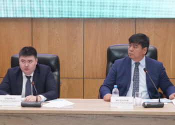 Энергетика вице-министрі түркістандықтармен кездесті