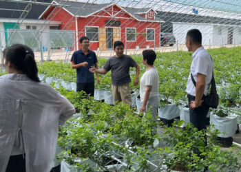 Түркістандық колледж өкілдері Қытайда тәжәрибе алмасты