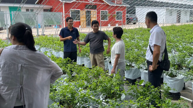 Түркістандық колледж өкілдері Қытайда тәжәрибе алмасты