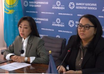 ӘЙЕЛДЕР ІСКЕРЛІГІН ДАМЫТУ МАҢЫЗДЫ