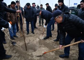 Отырар ауданында экологиялық серпіліс: ауыл тұрғындары екі жылда 100 мың көшет егуді мақсат етуде