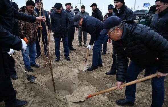 Отырар ауданында экологиялық серпіліс: ауыл тұрғындары екі жылда 100 мың көшет егуді мақсат етуде