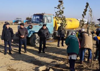 ОРДАБАСЫ: АУДАНДА КӨГАЛДАНДЫРУ ЖҰМЫСЫ ҚАРҚЫНДЫ