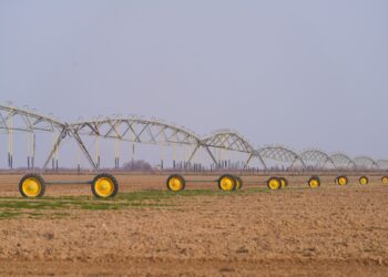 ТҮРКІСТАН ОБЛЫСЫНДА 114 МЫҢ ГЕКТАР ЖЕРГЕ СУ ҮНЕМДЕУ ТЕХНОЛОГИЯЛАРЫ ЕНГІЗІЛДІ