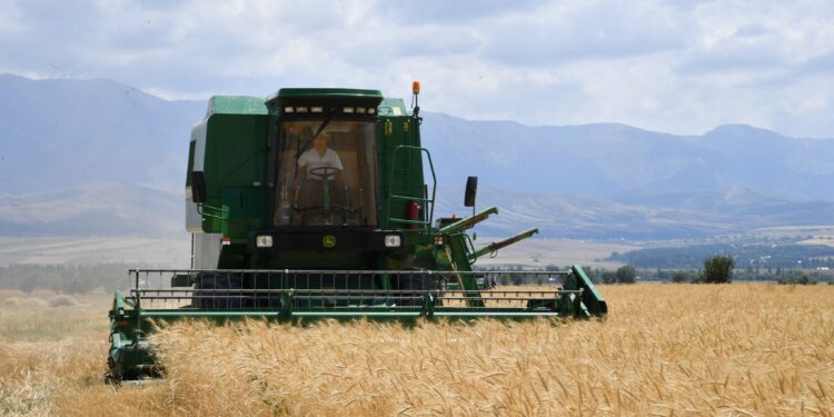 ТҮРКІСТАН ОБЛЫСЫНДА АУЫЛ ШАРУАШЫЛЫҒЫНДА 1,1 ТРЛН ТЕҢГЕНІҢ ӨНІМІ ӨНДІРІЛІП, ӨҢІР РЕСПУБЛИКАДА КӨШ БАСТАДЫ