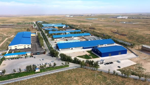 ТҮРКІСТАН ОБЛЫСЫНДА СҮТ ӨНДІРІСІН ЖАҢА ДЕҢГЕЙГЕ КӨТЕРГЕН «БӨРТЕ МИЛКА» ЖОБАСЫ ТОЛЫҚ ІСКЕ ҚОСЫЛДЫ