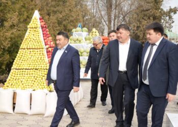 Түркістан облысы: «AGROFEST Шардара – 2025» – еңбек адамдарына құрмет, аграрлық дамуға серпін
