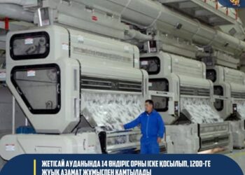 Жетісай ауданында индустриялық серпіліс: 14 жаңа өндіріс орны іске қосылып, 1200-ге жуық азамат жұмыспен қамтылады