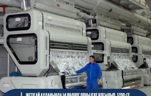 Жетісай ауданында индустриялық серпіліс: 14 жаңа өндіріс орны іске қосылып, 1200-ге жуық азамат жұмыспен қамтылады