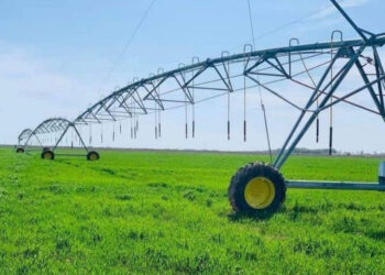 Түркістан облысы су үнемдеу технологиясын енгізу бойынша көшбасшылар қатарында