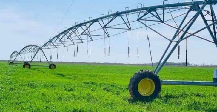 Түркістан облысы су үнемдеу технологиясын енгізу бойынша көшбасшылар қатарында