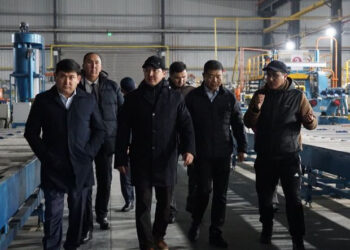 Сауда және интеграция вице-министрі Түркістан облысындағы кәсіпорындарды аралады