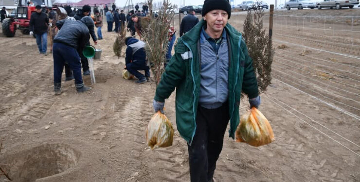 Түркістан: Отырарлық тұрғындар ауылды көркейту жұмыстарын белсенді жүргізуде