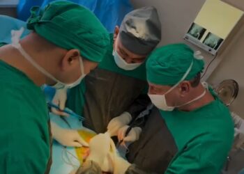 Түркістан облыстық клиникалық ауруханасында жамбас буынын ревизиялық эндопротездеу бойынша практикалық мастер-класс өткізілді